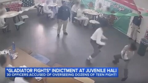 Juvenile Brawl