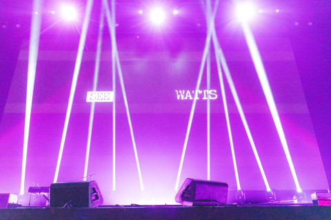 Nothing to See Here - Watts