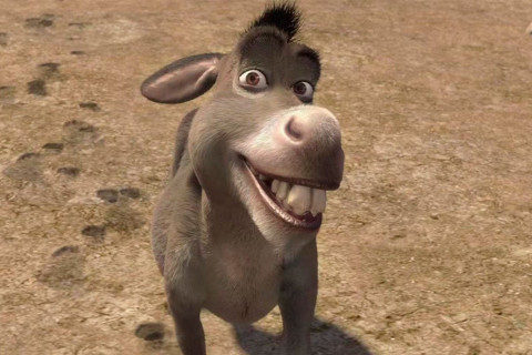 Shrek: Donkey