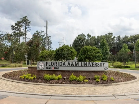 FAMU - Homecoming